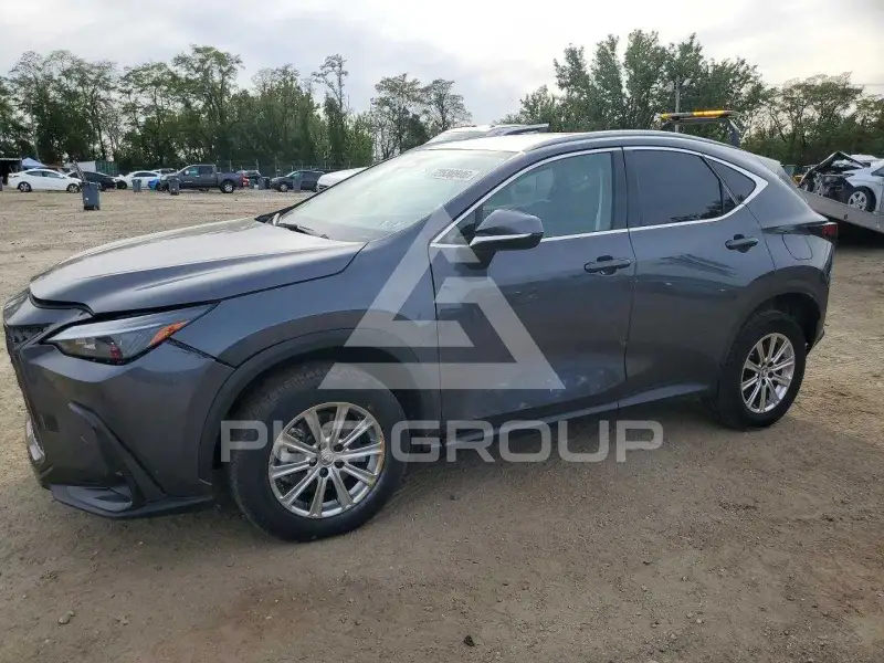 2024 Lexus NX фото