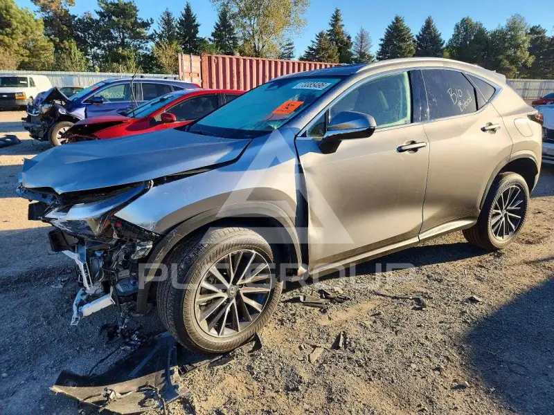 2024 Lexus NX photo