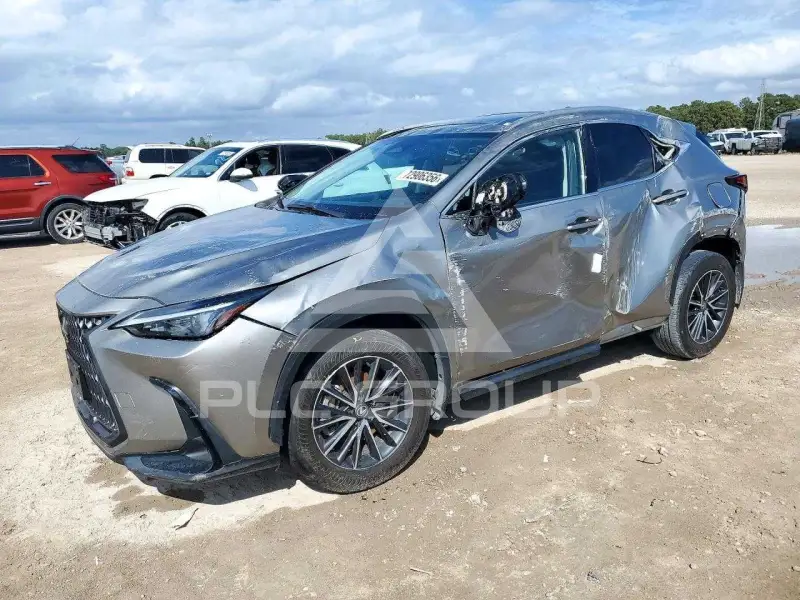 2024 Lexus NX фото