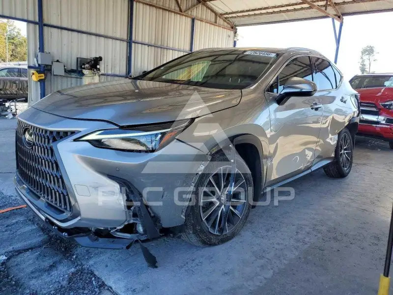 2024 Lexus NX фото