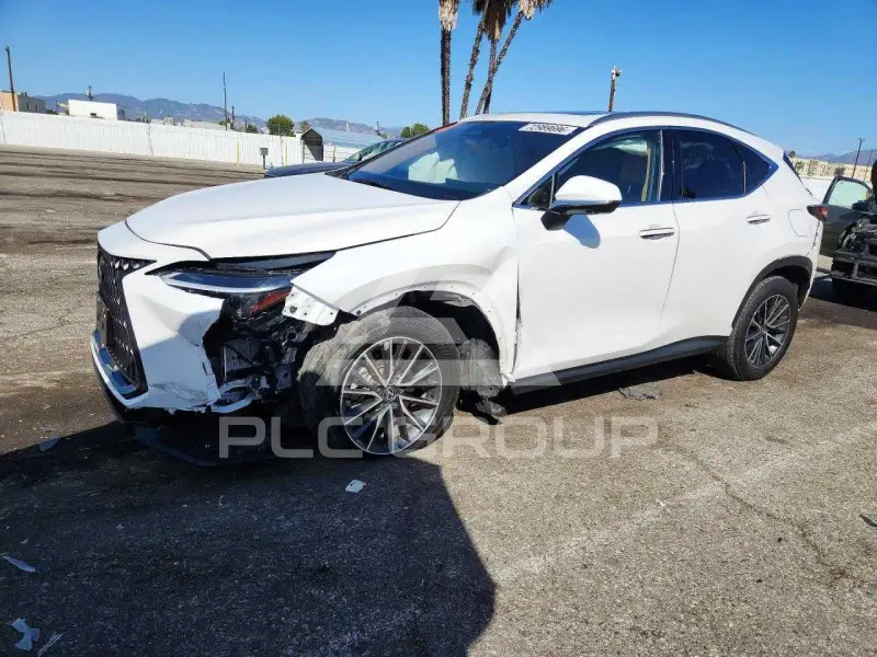 2024 Lexus NX photo