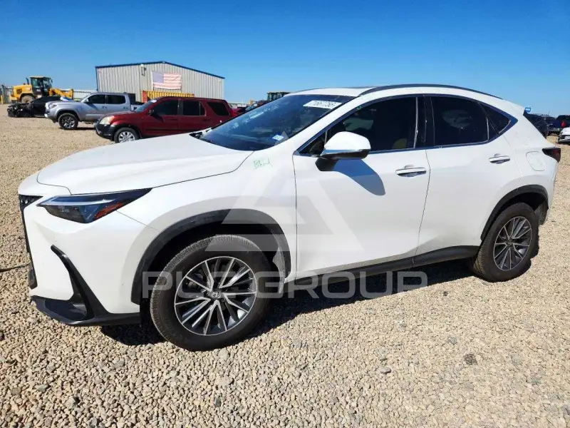 2024 Lexus NX фото