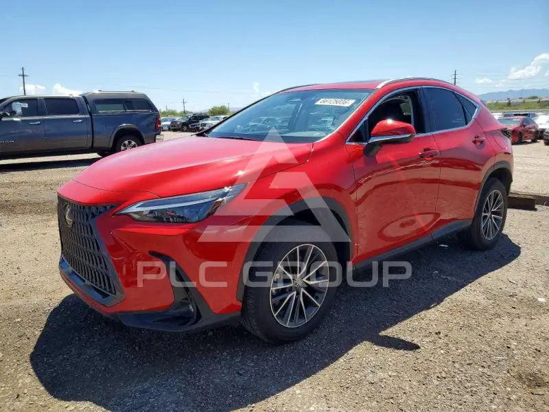 2024 Lexus NX photo