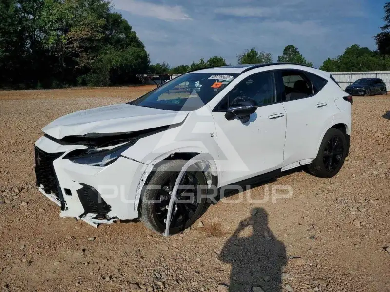 2024 Lexus NX фото