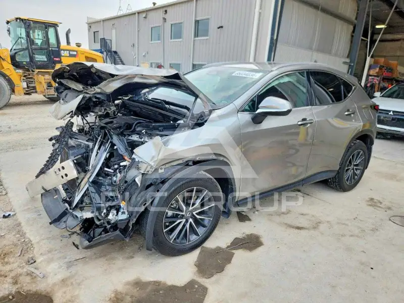2024 Lexus NX photo