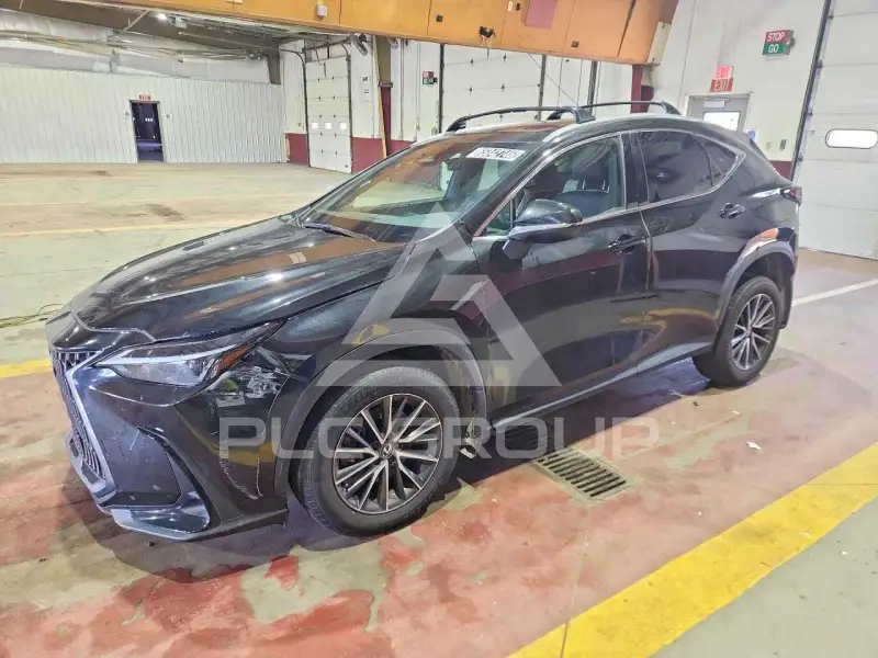 2024 Lexus NX фото