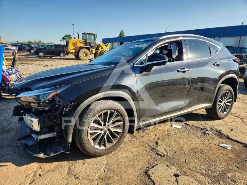 2024 Lexus NX350 фото