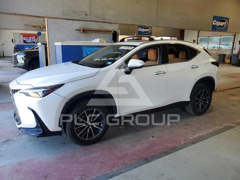 2024 Lexus NX фото