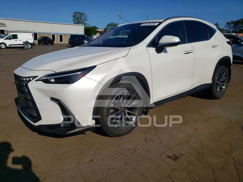 2024 Lexus NX фото