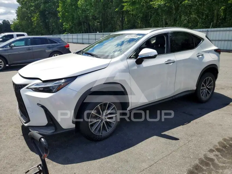 2024 Lexus NX photo