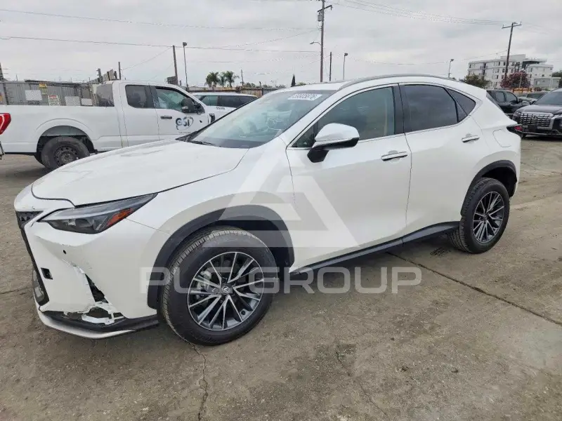 2024 Lexus NX фото
