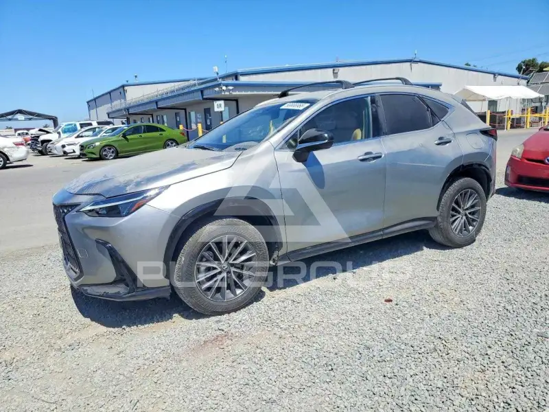 2024 Lexus NX фото