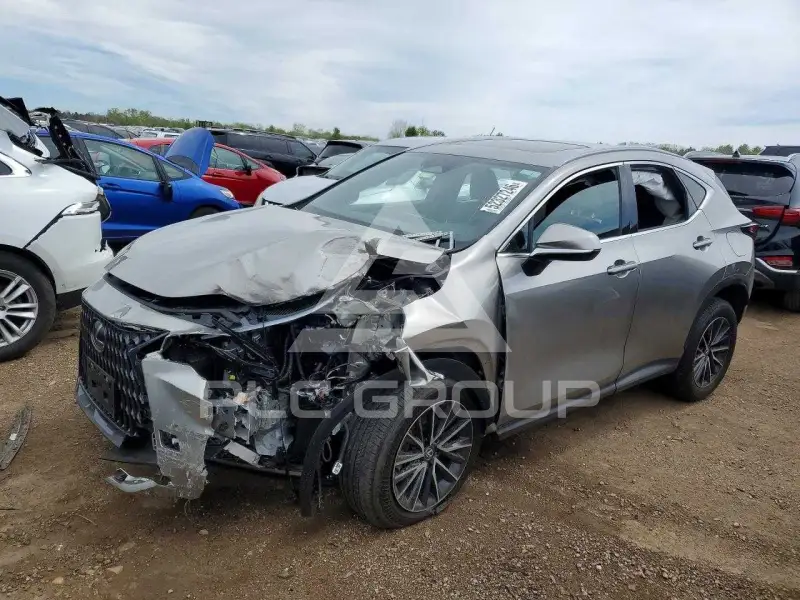 2024 Lexus NX250 фото