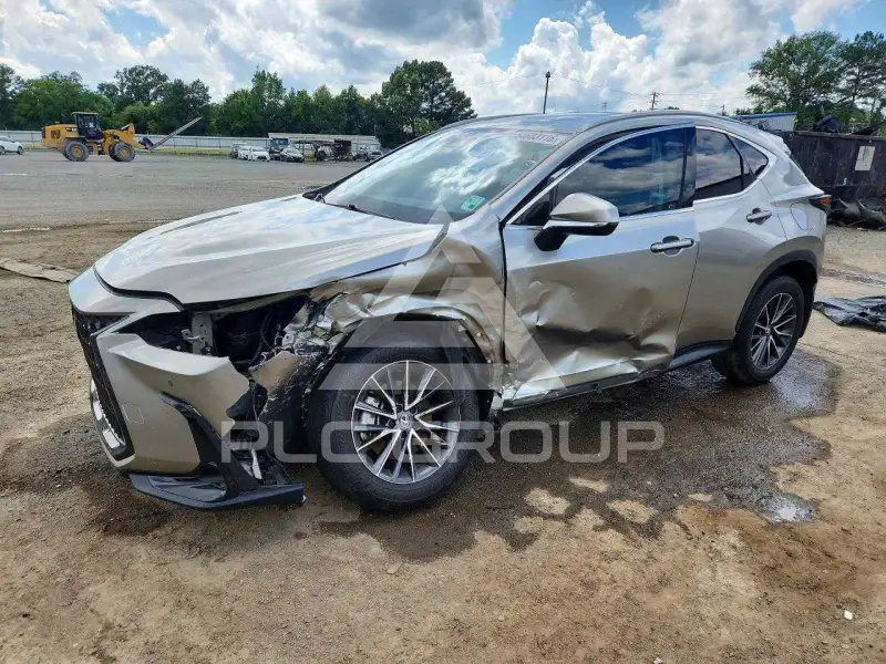 2024 Lexus NX photo