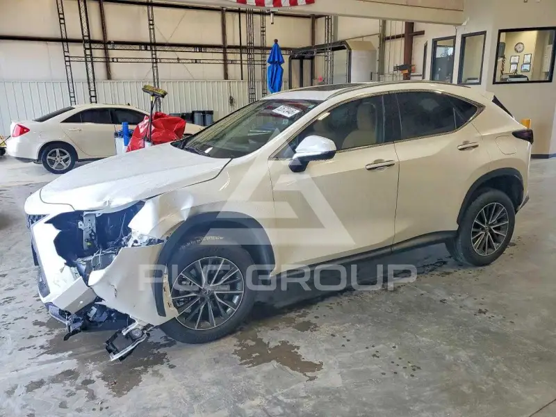 2024 Lexus NX photo