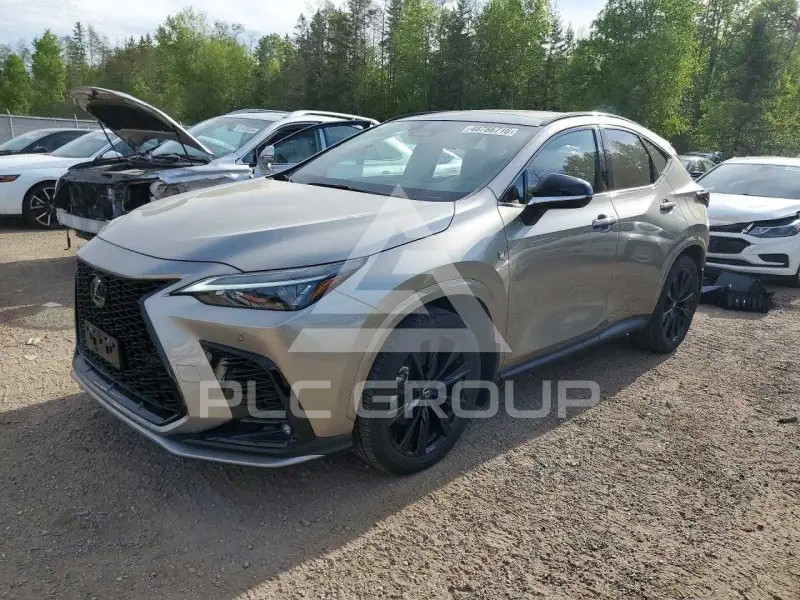 2024 Lexus NX фото