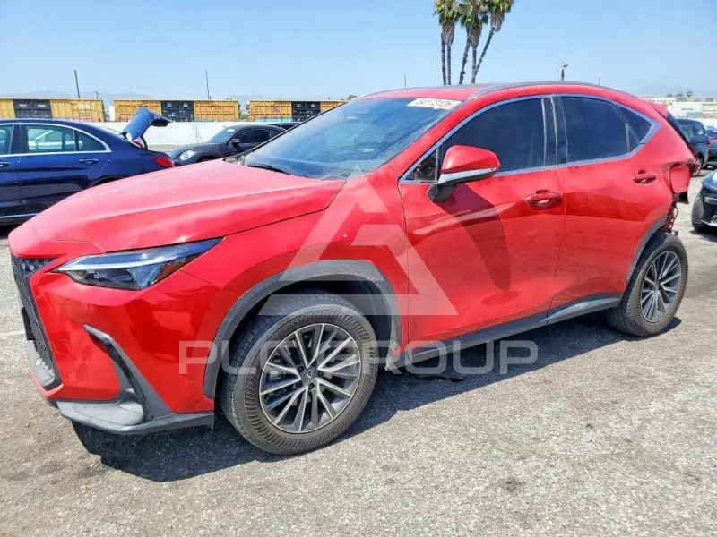 2024 Lexus NX фото
