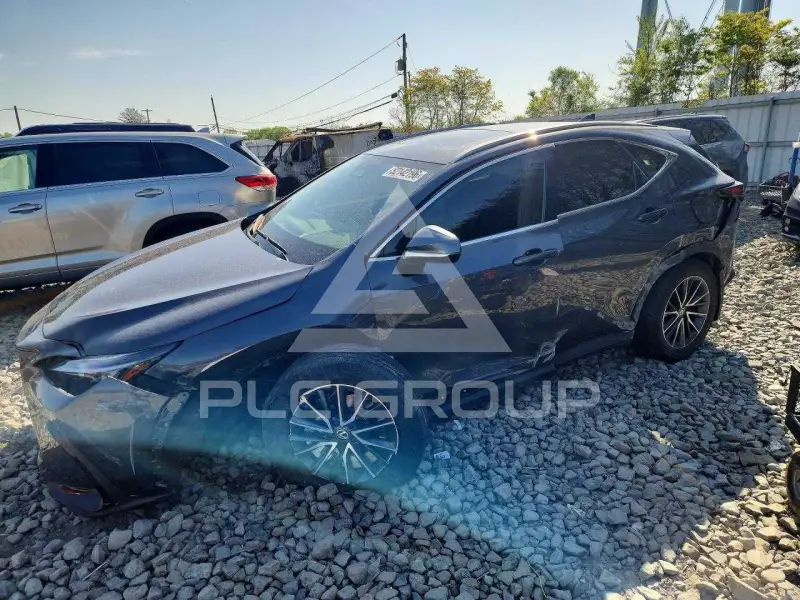2024 Lexus NX photo