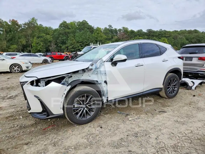 2024 Lexus NX фото