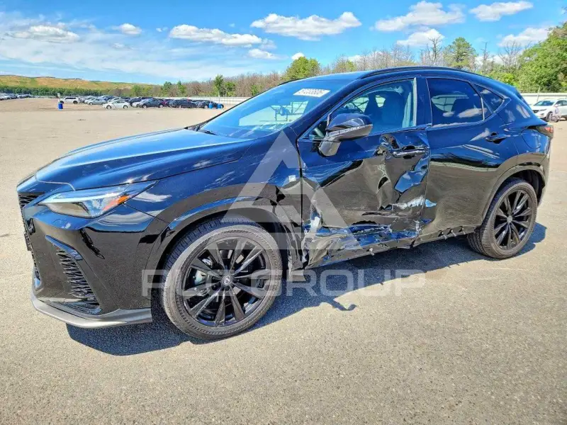 2024 Lexus NX photo