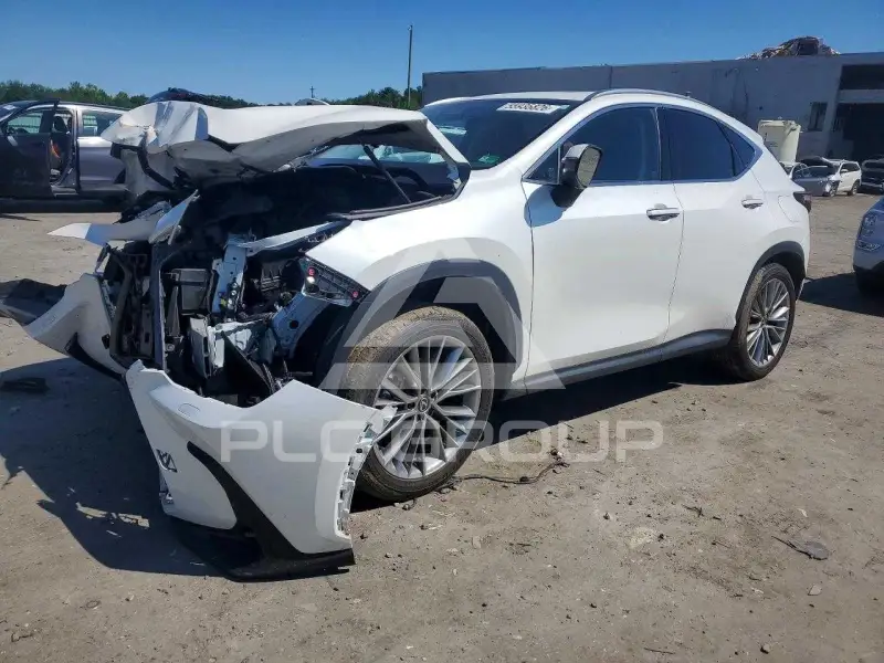 2024 Lexus NX фото