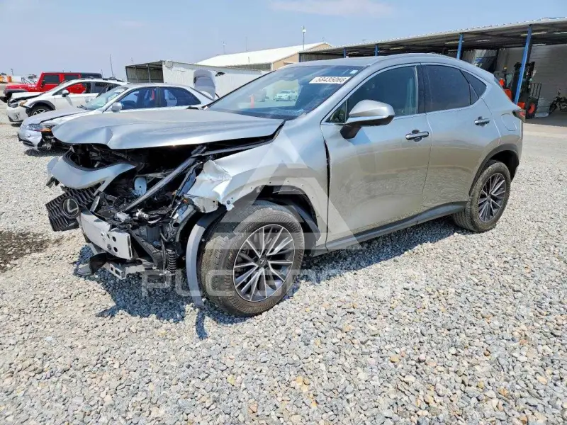 2024 Lexus NX фото