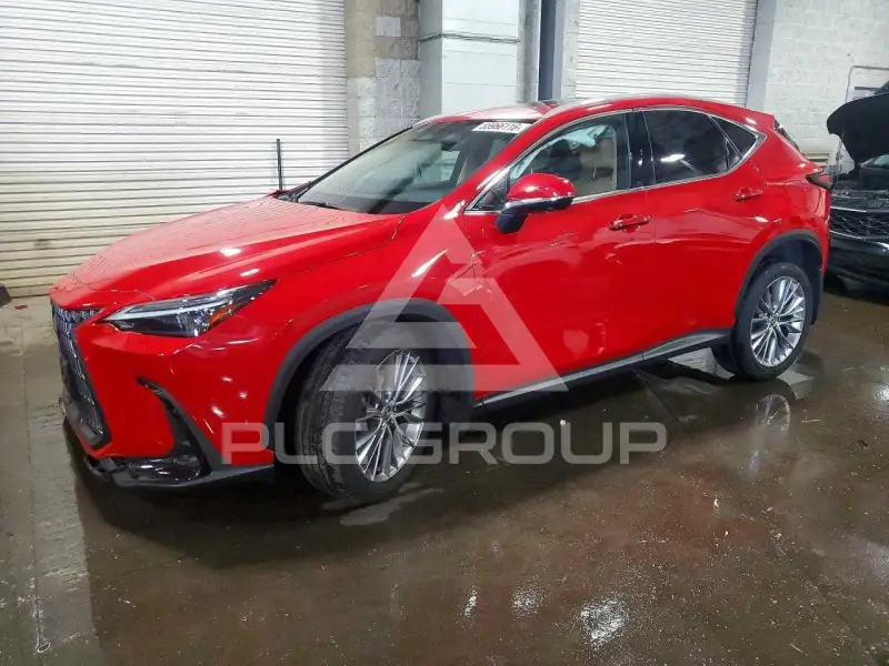 2024 Lexus NX фото