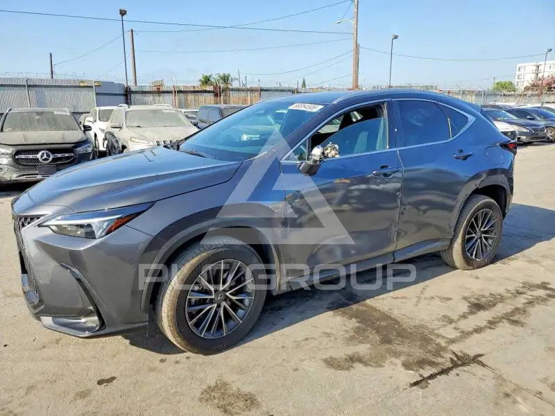 2024 Lexus NX фото