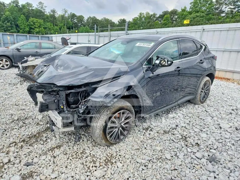 2024 Lexus NX250 photo