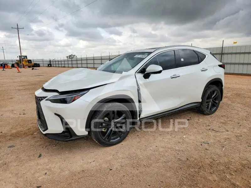 2024 Lexus NX фото
