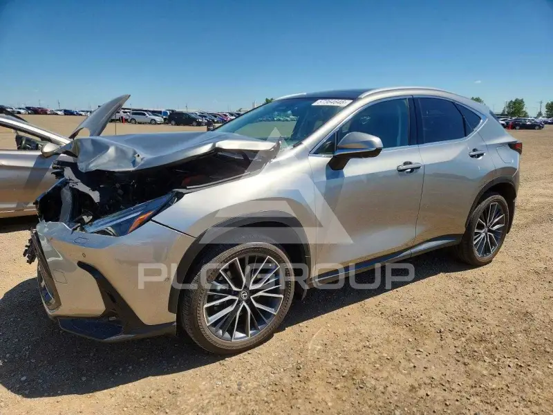 2024 Lexus NX фото