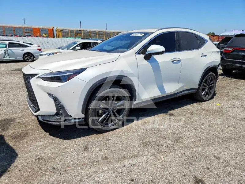 2024 Lexus NX фото