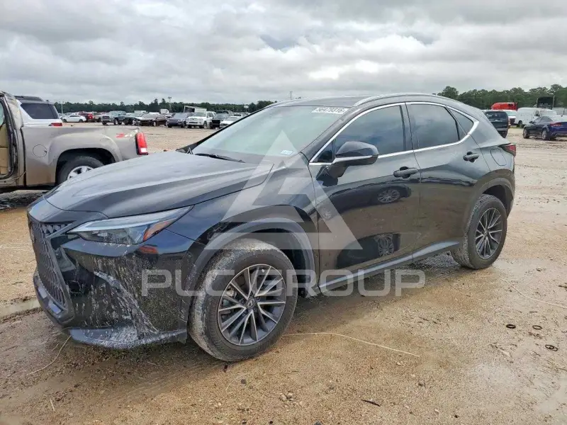 2024 Lexus NX250 фото