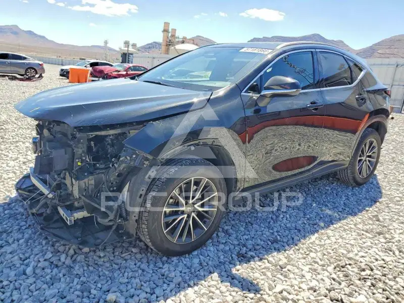 2024 Lexus NX фото