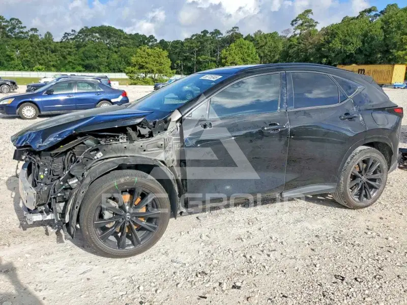 2024 Lexus NX250 фото