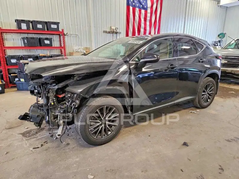 2024 Lexus NX250 фото