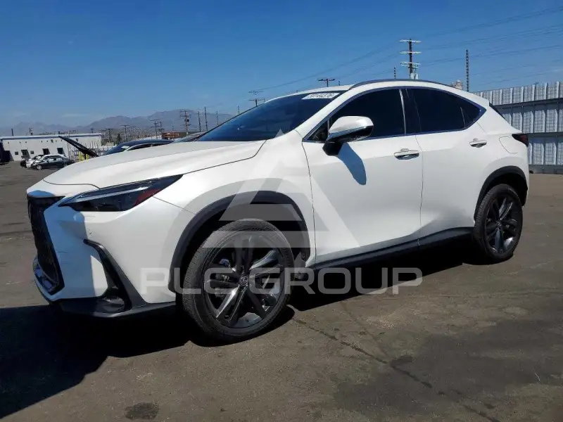 2024 Lexus NX photo