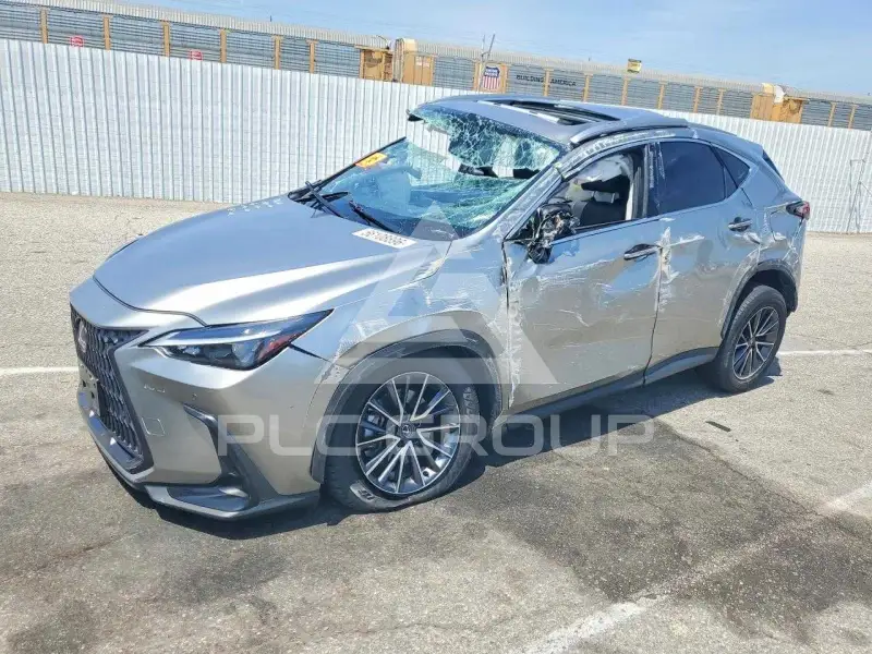 2024 Lexus NX фото