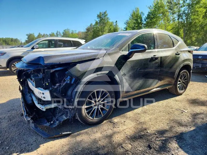 2024 Lexus NX photo
