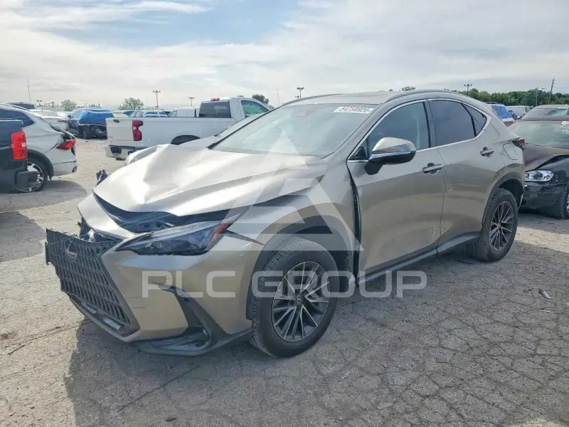 2024 Lexus NX фото