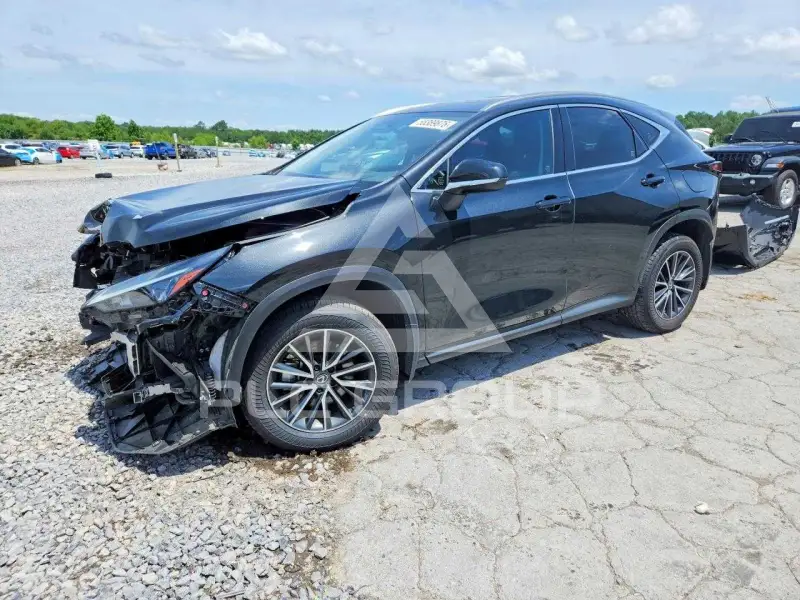 2024 Lexus NX фото