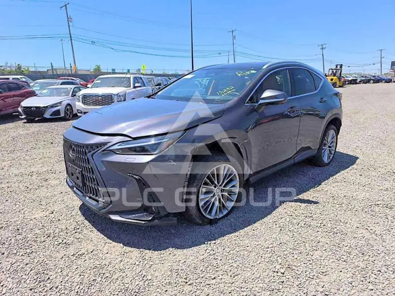2024 Lexus NX фото