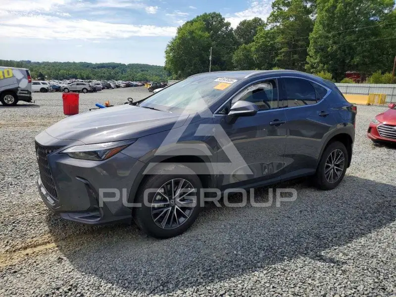 2024 Lexus NX photo