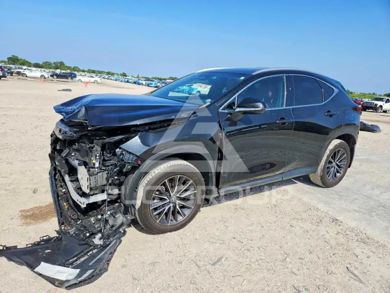 2024 Lexus NX фото