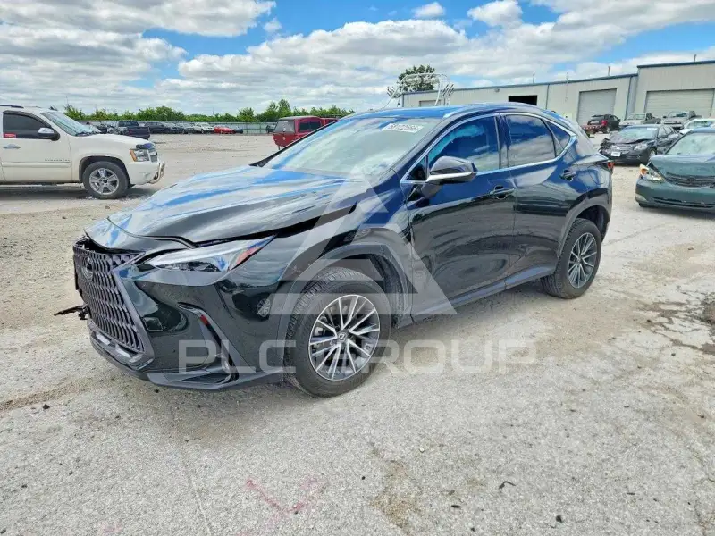 2024 Lexus NX фото