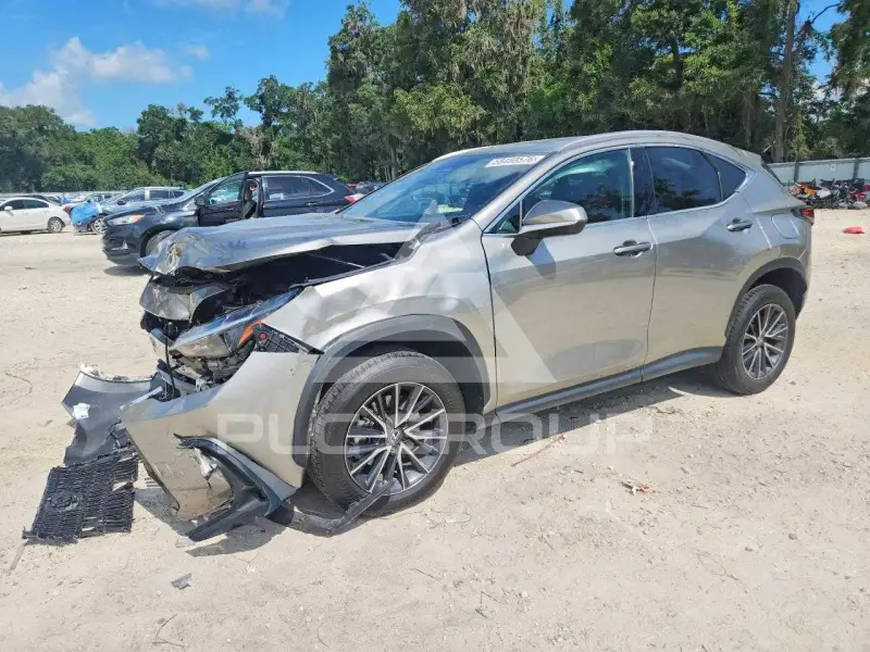 2024 Lexus NX250 фото
