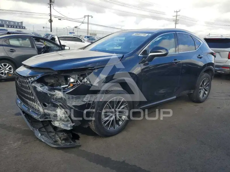 2024 Lexus NX фото