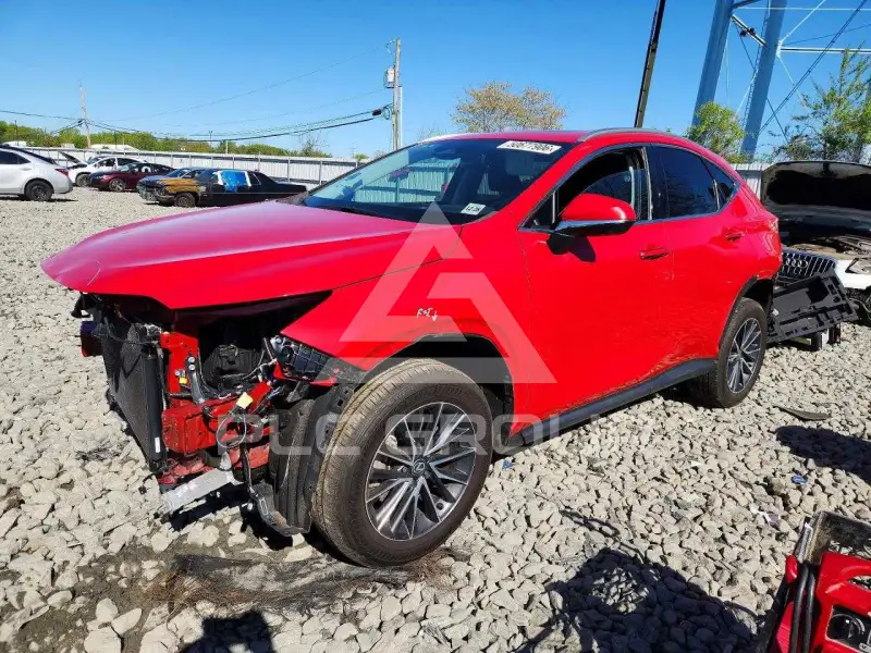 2024 Lexus NX250 фото