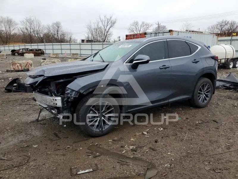 2024 Lexus NX фото