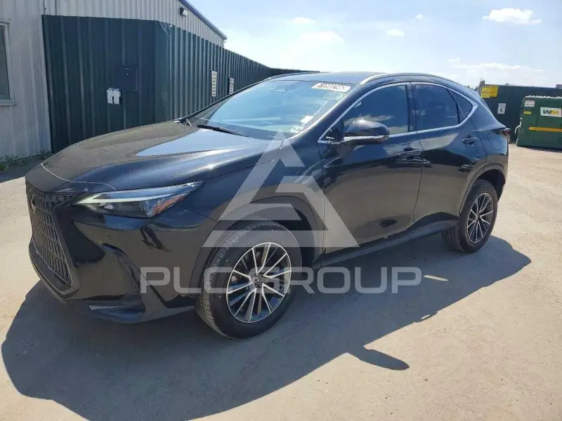 2024 Lexus NX photo